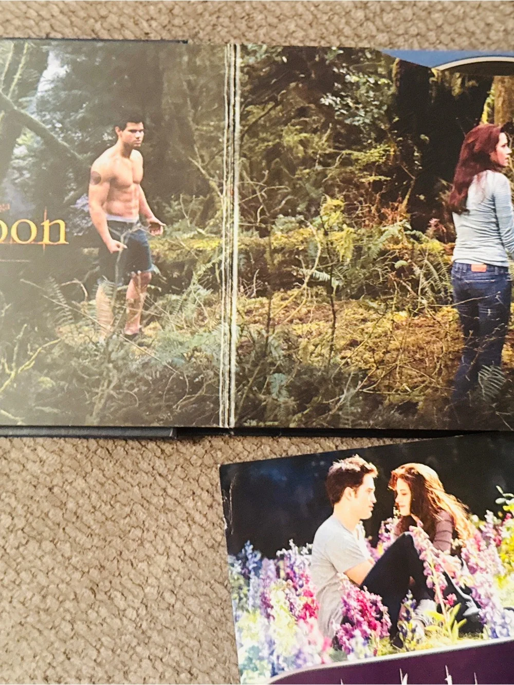 Twilight Forever: The Complete Saga DVD Box Set - Blue